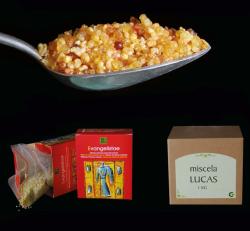 Tymianek Evangelist Luke