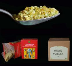 Tymianek Evangelist Mark