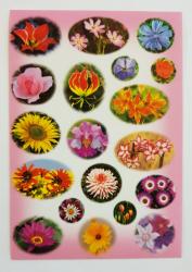 Naklejki - kwiaty